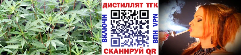 купить закладку  Александров  Дистиллят ТГК Wax 